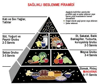  Elyamoeba! Bu Çok Dengeli Günlük Yaşamı Yönetmek İçin Sürekli Hareket Eden Bir Ökaryota mı?