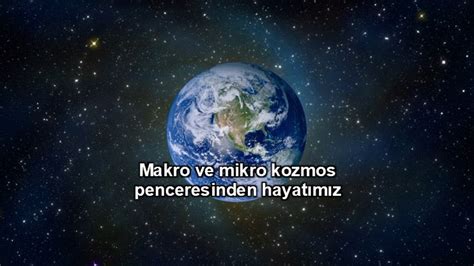 Krulli!  Bir Mikro Kozmos: Tek Hücreli Dünyanın Gizemli Yüzü