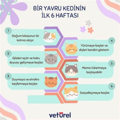  Neodermatidae Yavru Yaprakları Şaşırtıcı Bir Biyolojik Şölen Sunuyor: İnceleyelim!