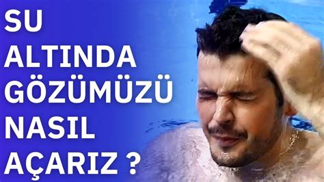  Vatoş! Bir Akvaryumda Asıl Hükümdar: Su Altında Gizli Güçlü Bir Yüzgeçli